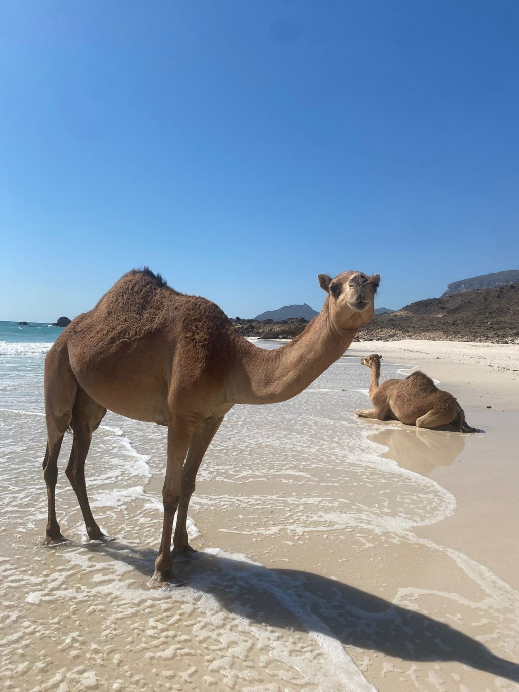 Oman - Salalah