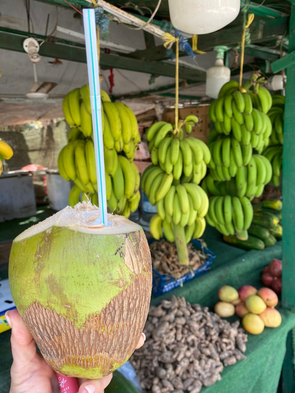 Oman - Salalah